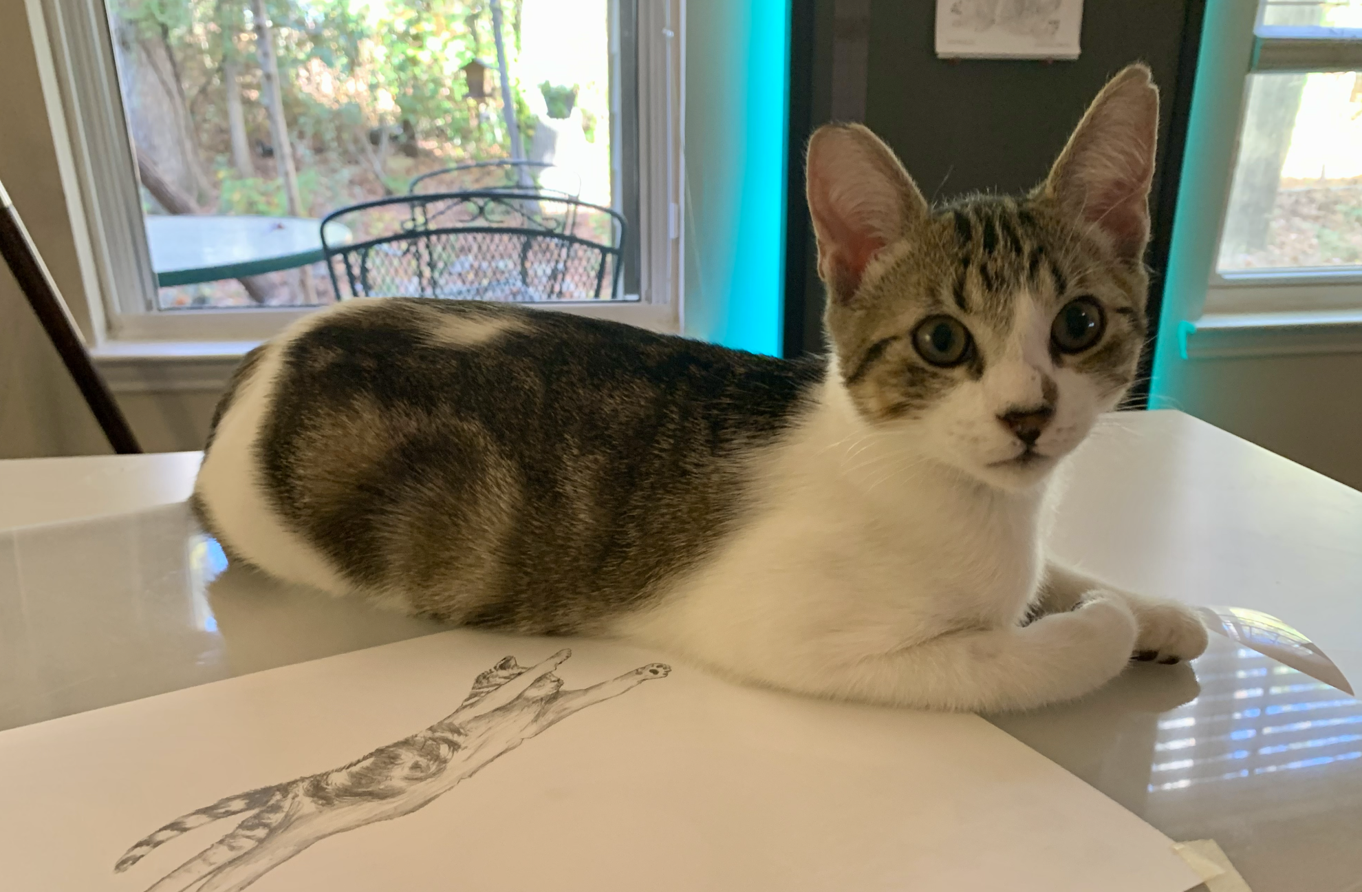 Vinny on his drawing